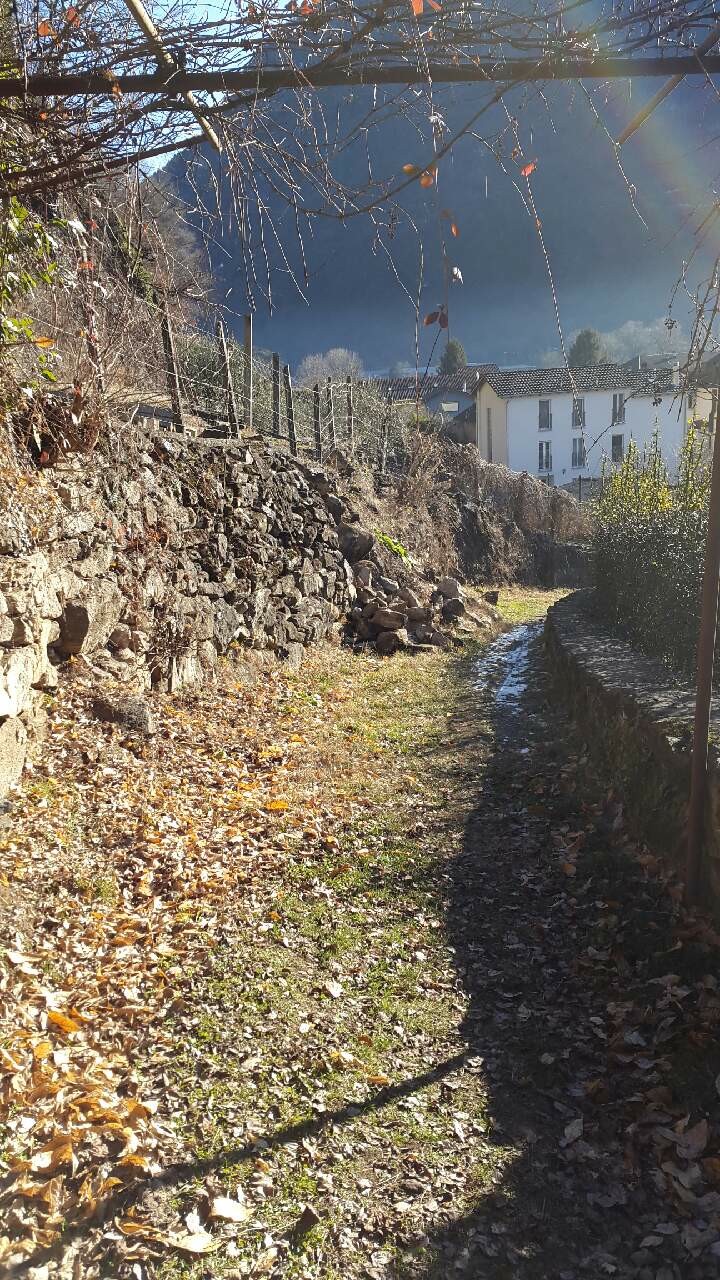 Strada Romana 3